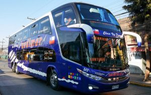 buses nuevo andimar vip